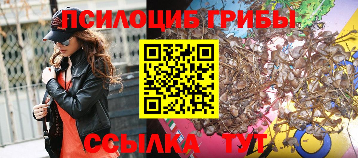Псилоцибиновые грибы GOLDEN TEACHER Кингисепп