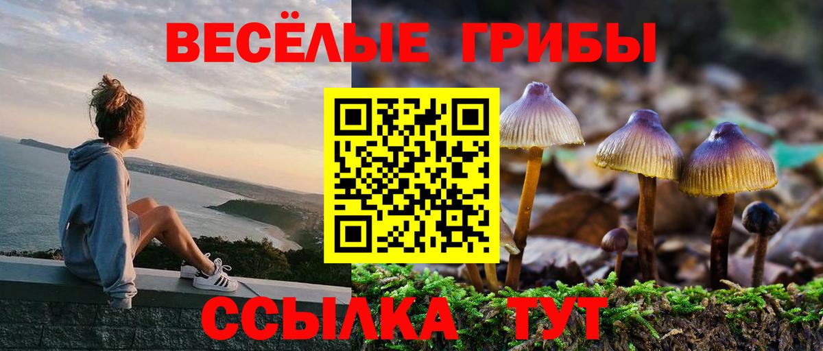 как найти наркотики  Вход с VPN  Кингисепп  Псилоцибиновые грибы Magic Shrooms 