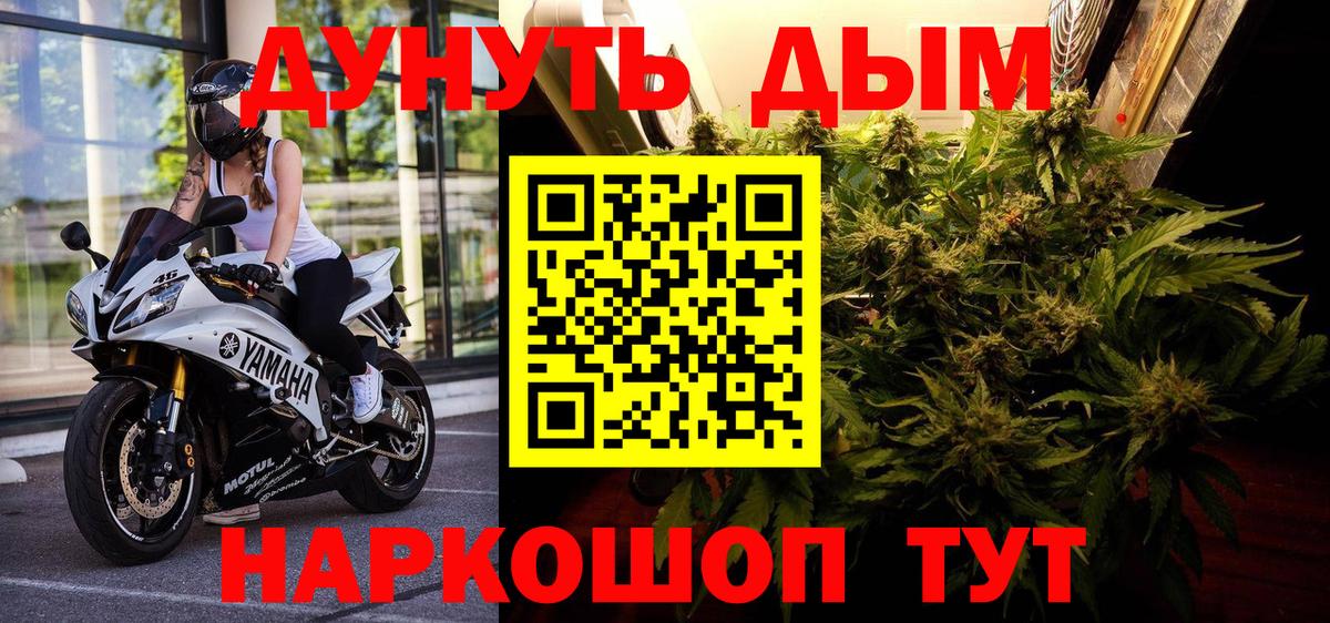 Марихуана OG Kush Кингисепп